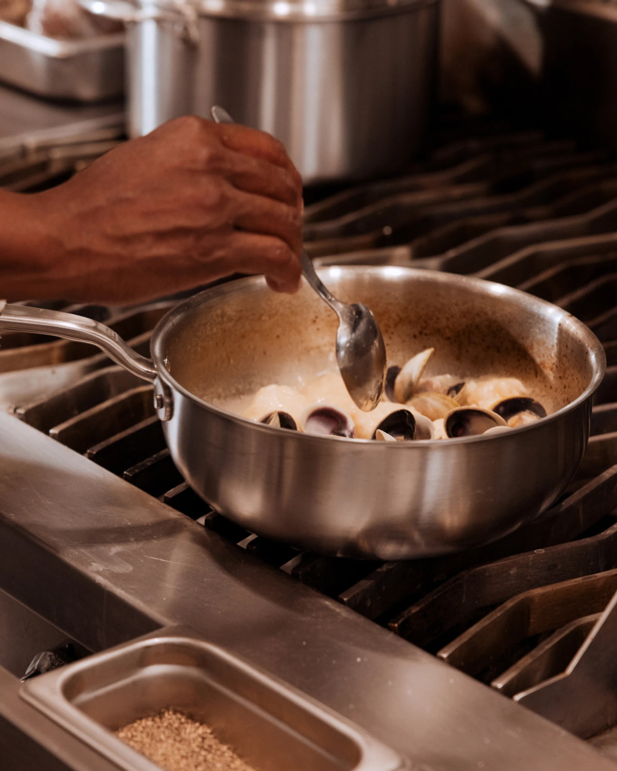 Stainless Clad Saucier Main image