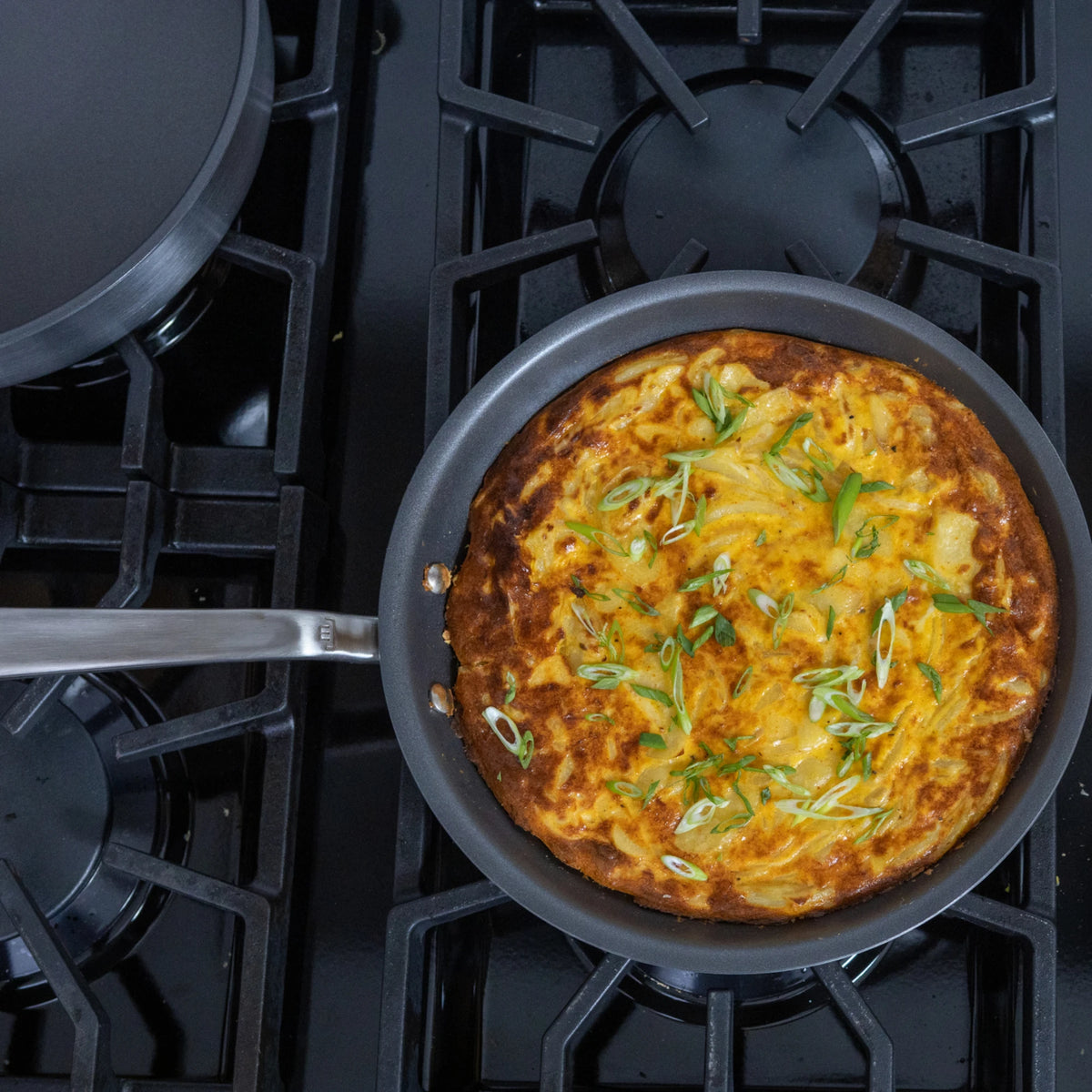 ProCoat Non Stick Frying Pan
